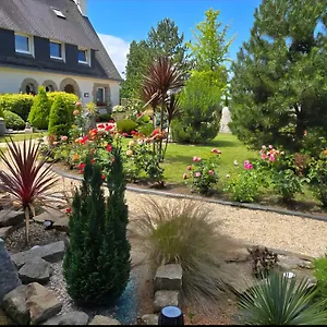 Tinat Douarnenez